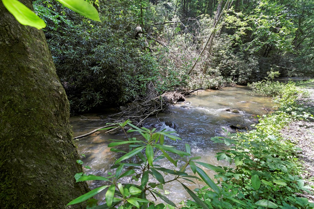 428527 Ellijay Residential