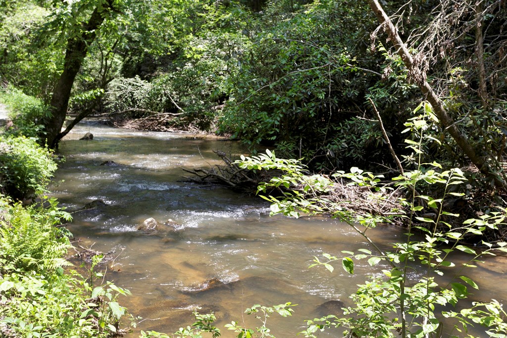 428527 Ellijay Residential