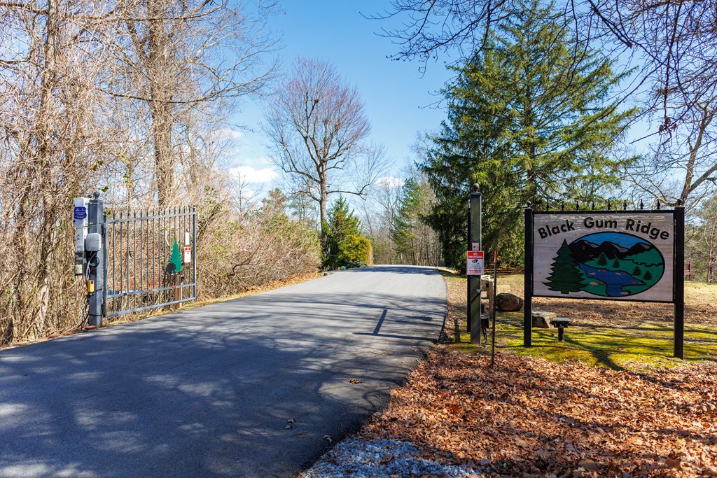 428529 Blue Ridge Residential