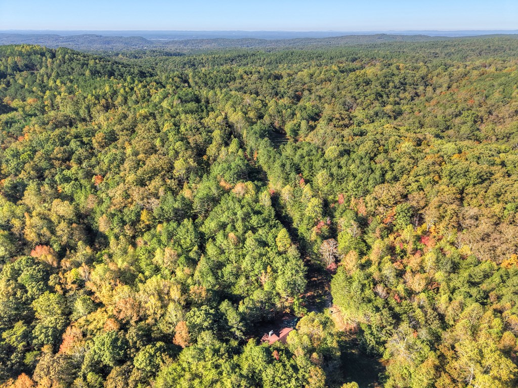 428537 Ranger Residential