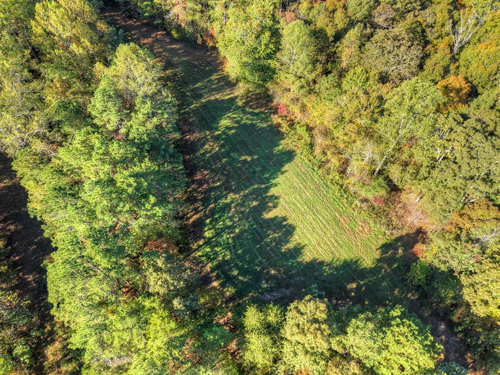 428537 Ranger Residential