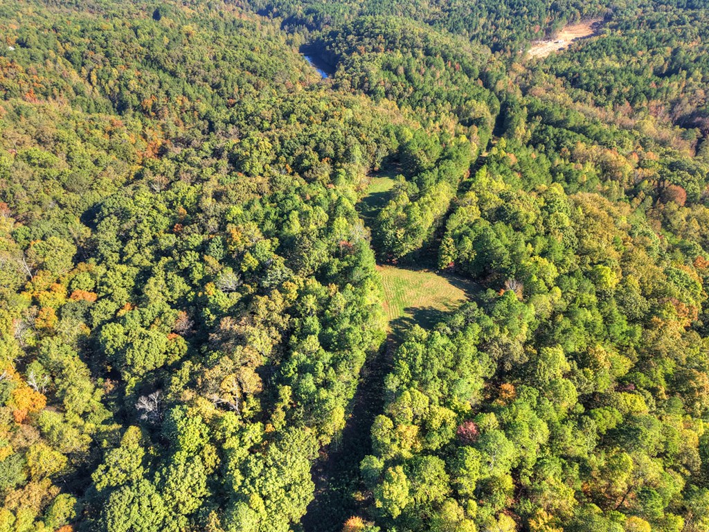 428537 Ranger Residential