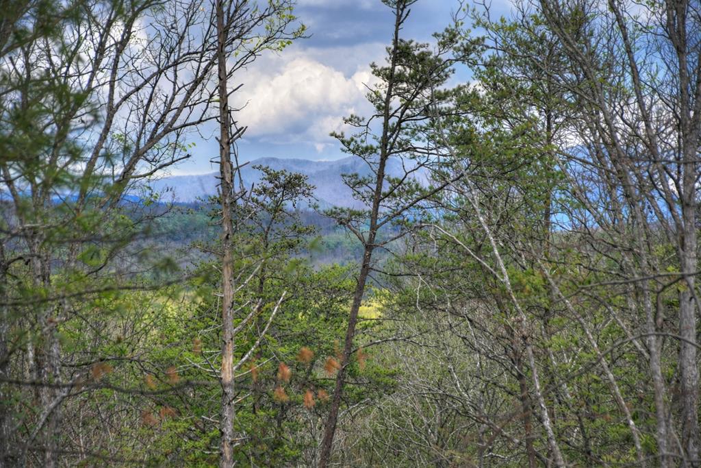 428538 Blue Ridge Residential