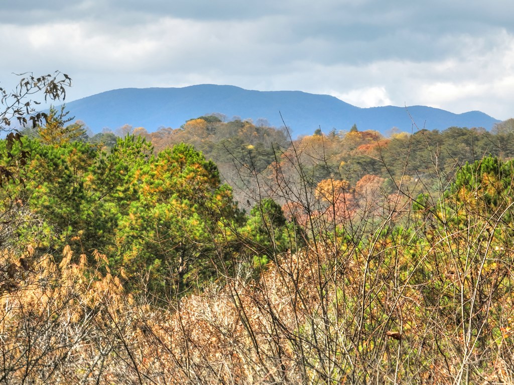 428550 Mineral Bluff Residential