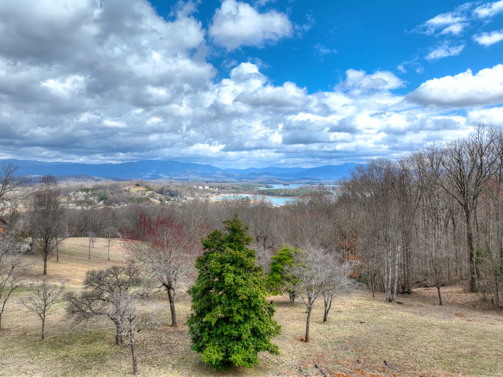 428562 Young Harris Residential