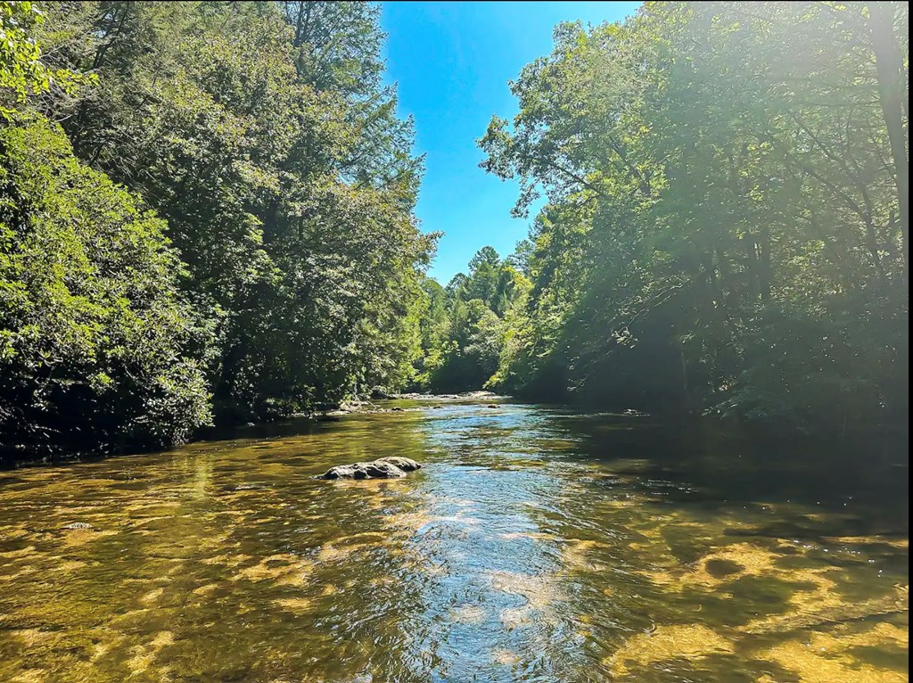 428564 McCaysville Residential