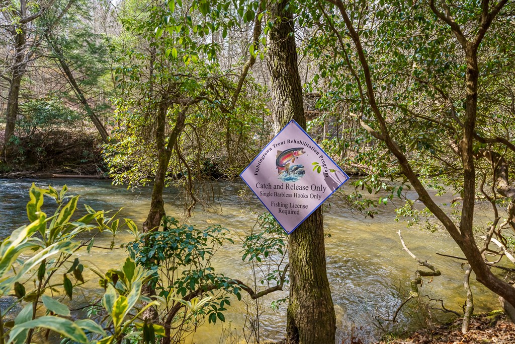 428564 McCaysville Residential