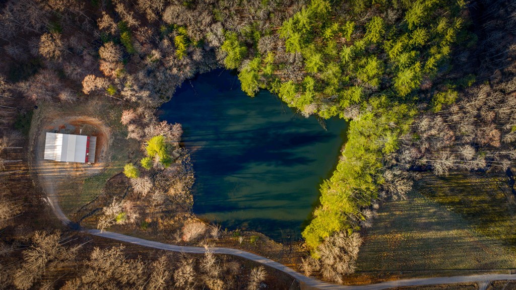 428593 Blue Ridge Residential