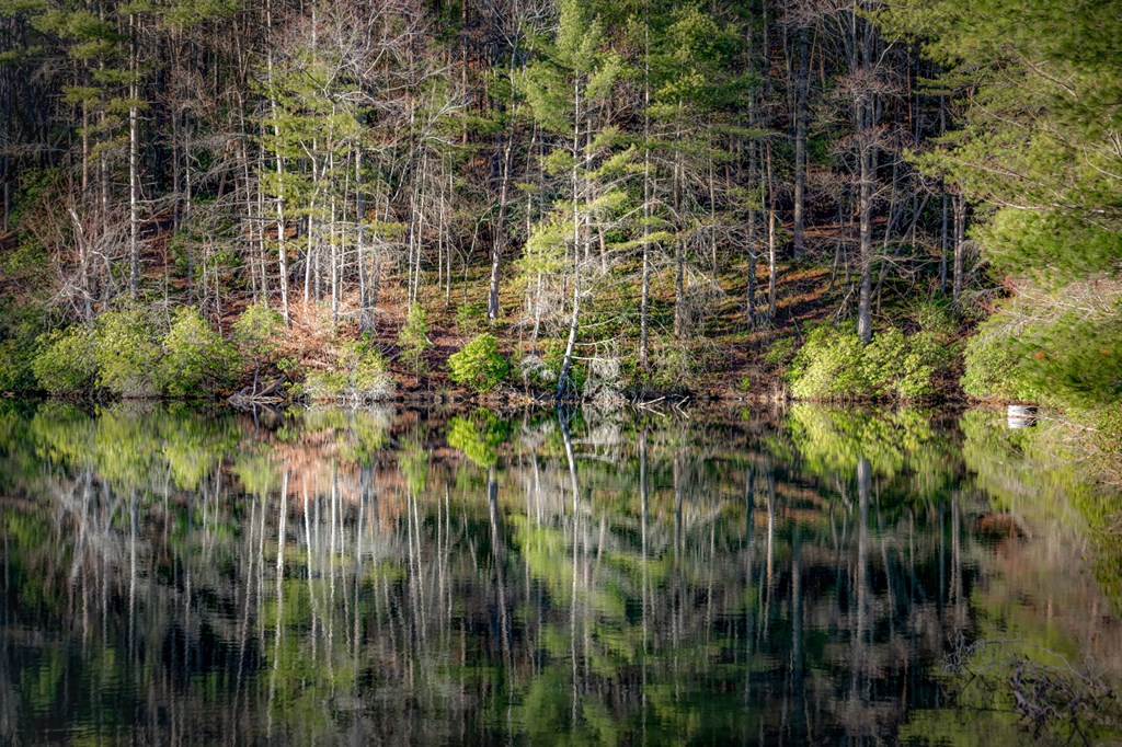 428593 Blue Ridge Residential