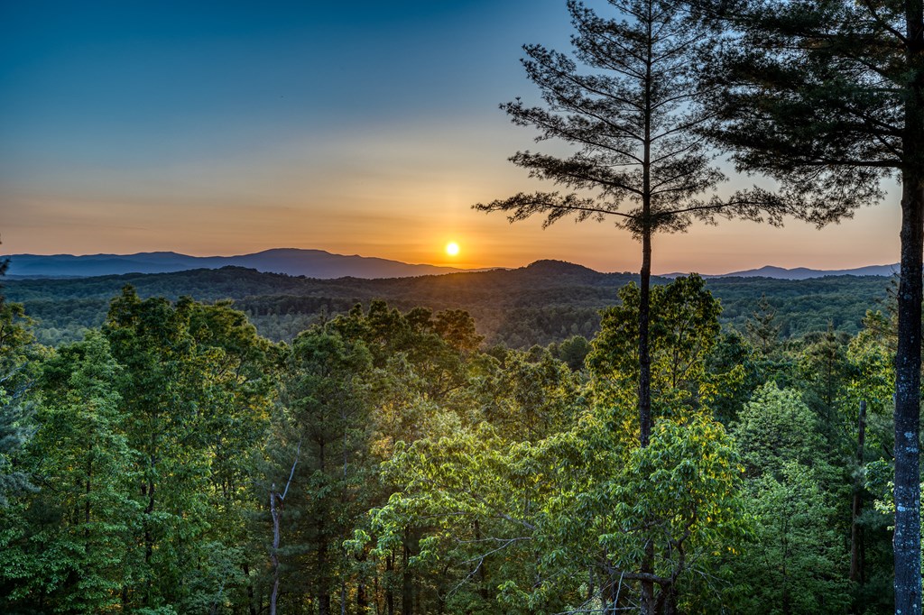 428602 Mineral Bluff Residential