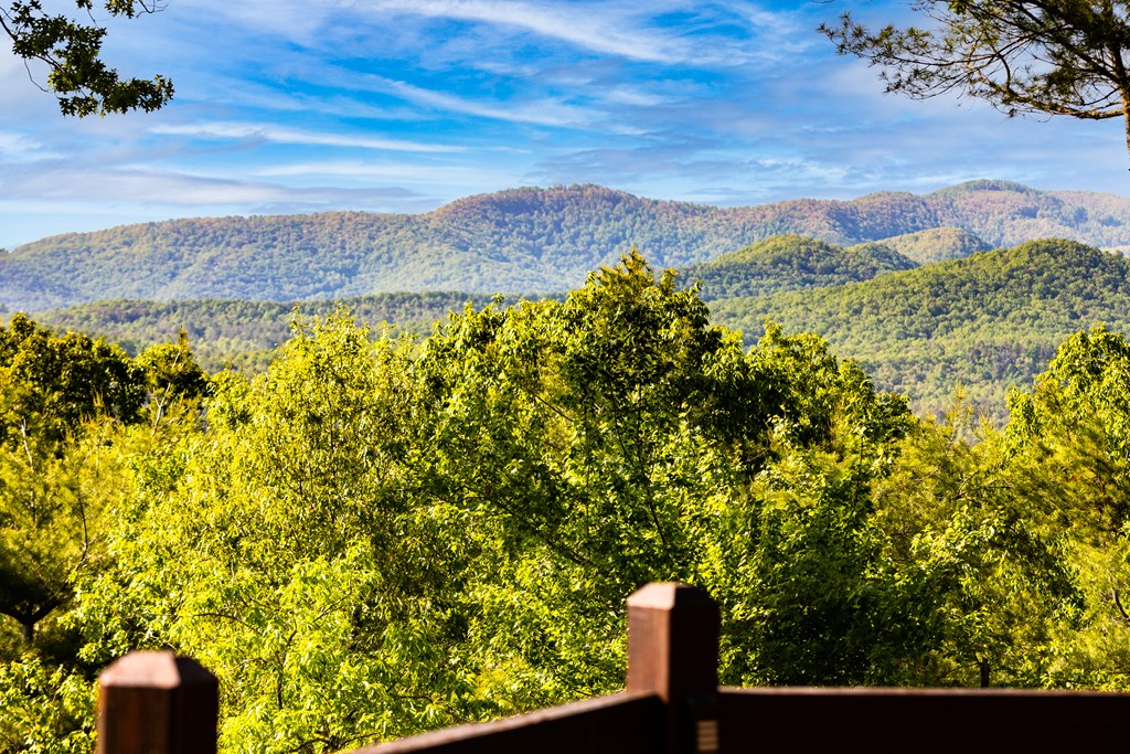 428602 Mineral Bluff Residential