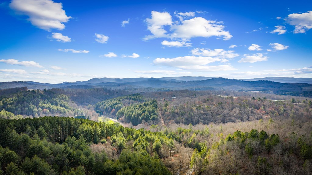 428635 Blue Ridge Residential