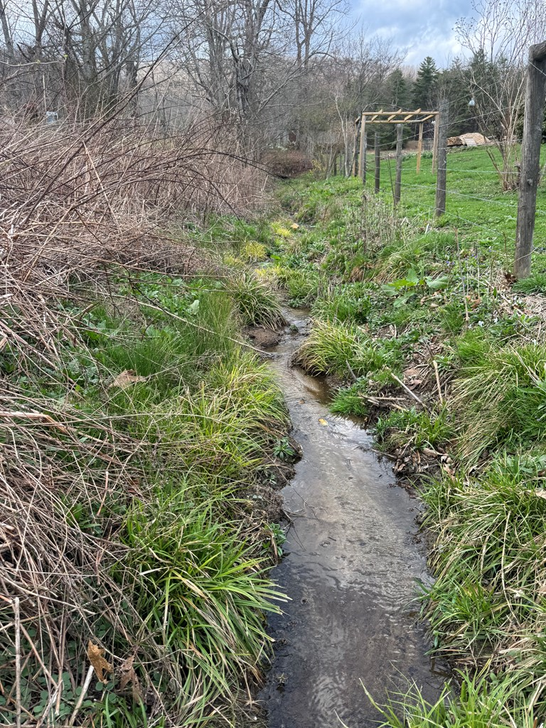 428636 Suches Residential