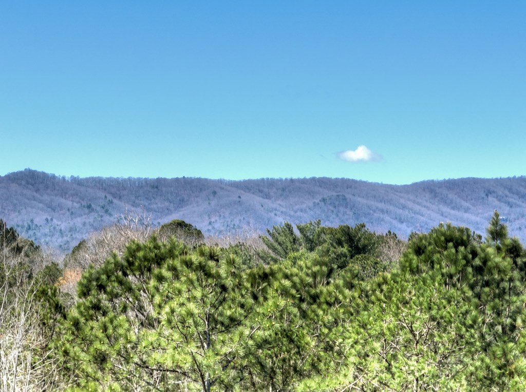 428637 Ellijay Residential