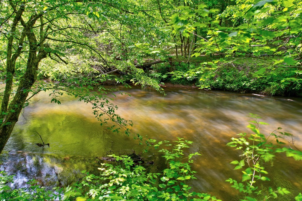 428644 Suches Residential