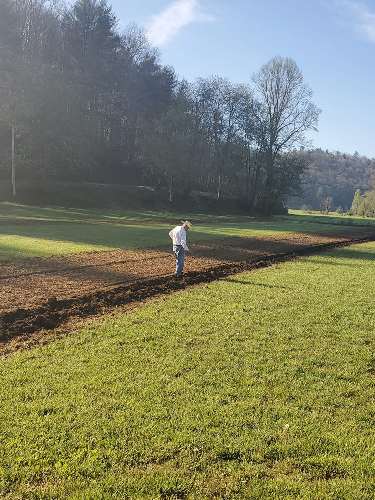 428666 Suches Residential