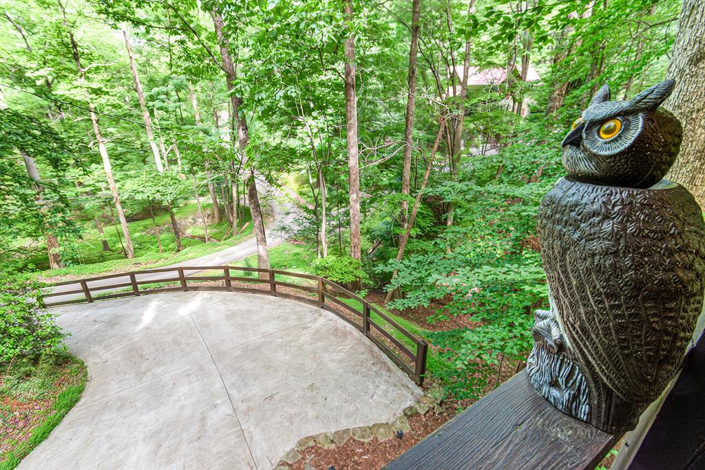 428686 Ellijay Residential