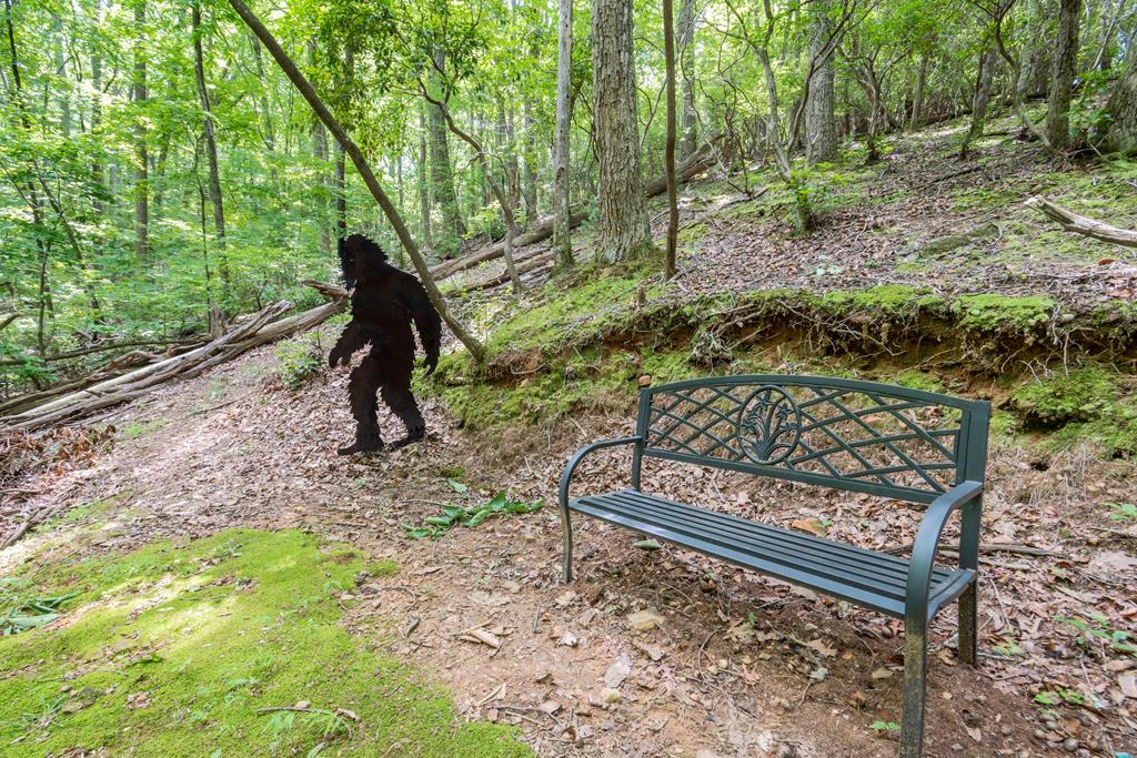 428686 Ellijay Residential