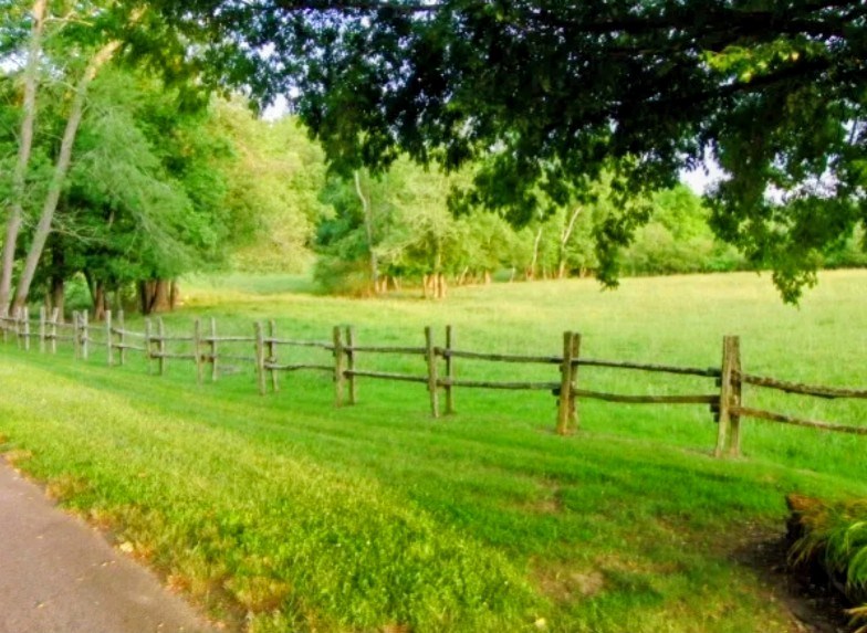 428690 Blairsville Residential