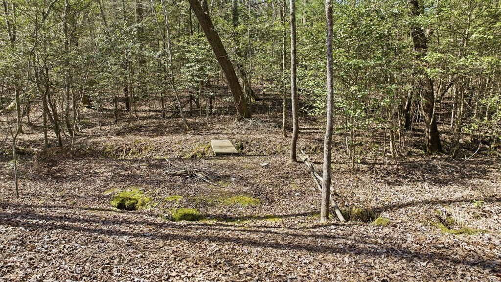 428713 Murphy Residential