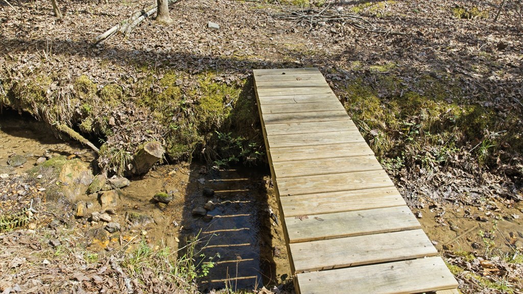 428713 Murphy Residential