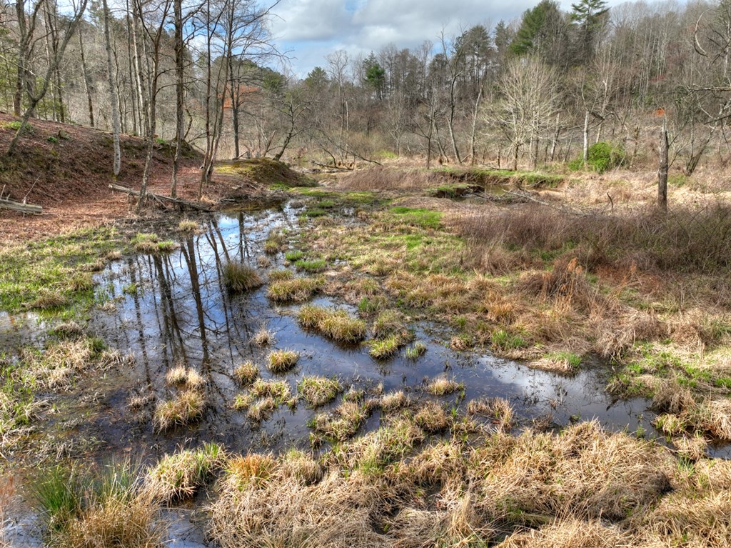 428723 Cherry Log Residential