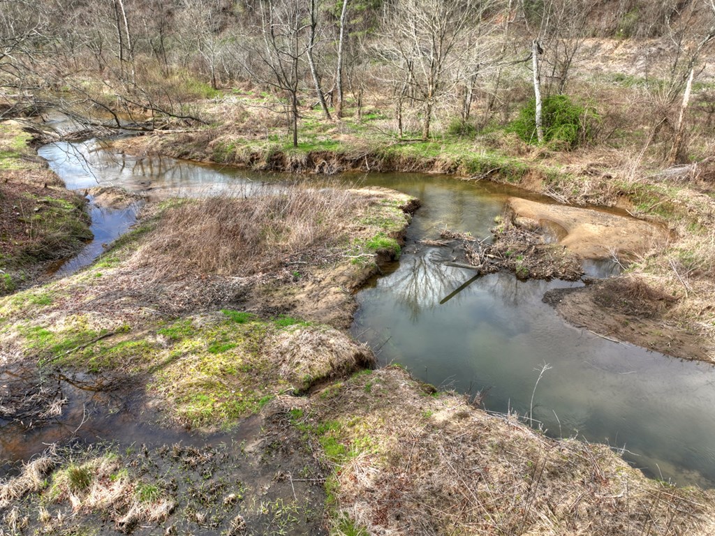 428723 Cherry Log Residential