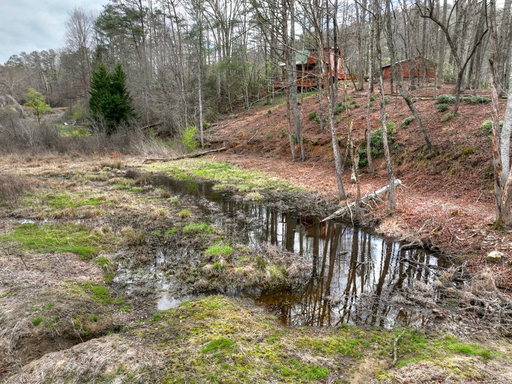 428723 Cherry Log Residential