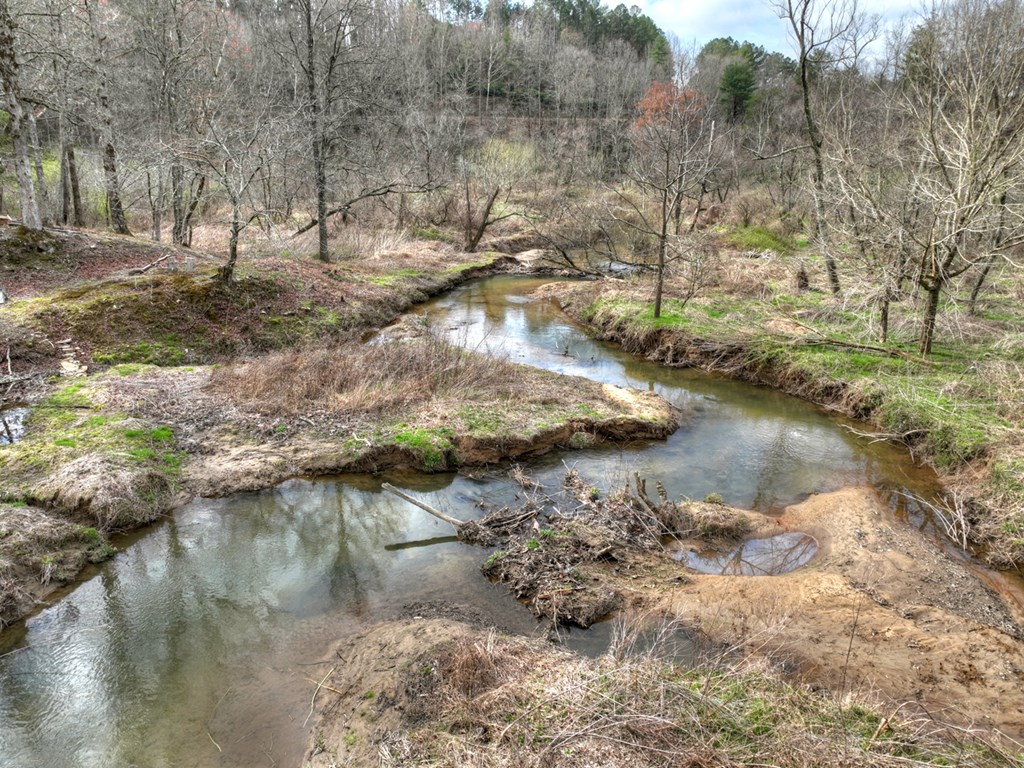 428723 Cherry Log Residential