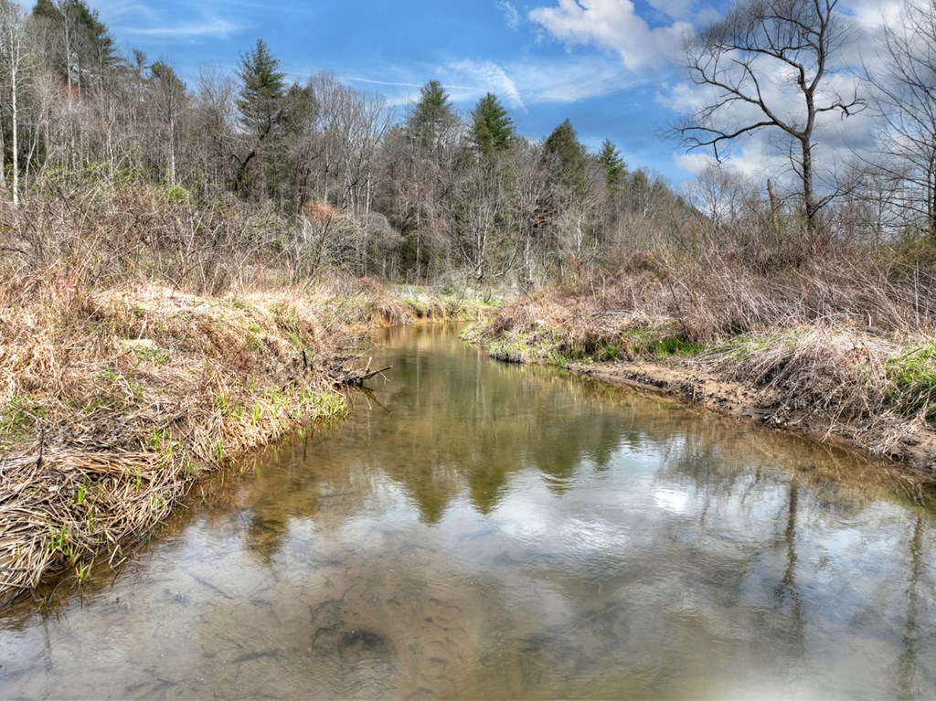 428723 Cherry Log Residential