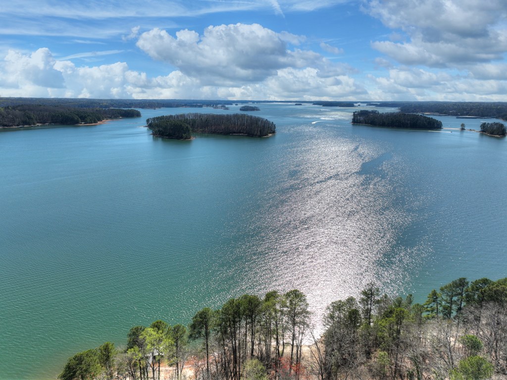 428731 Gainesville Residential