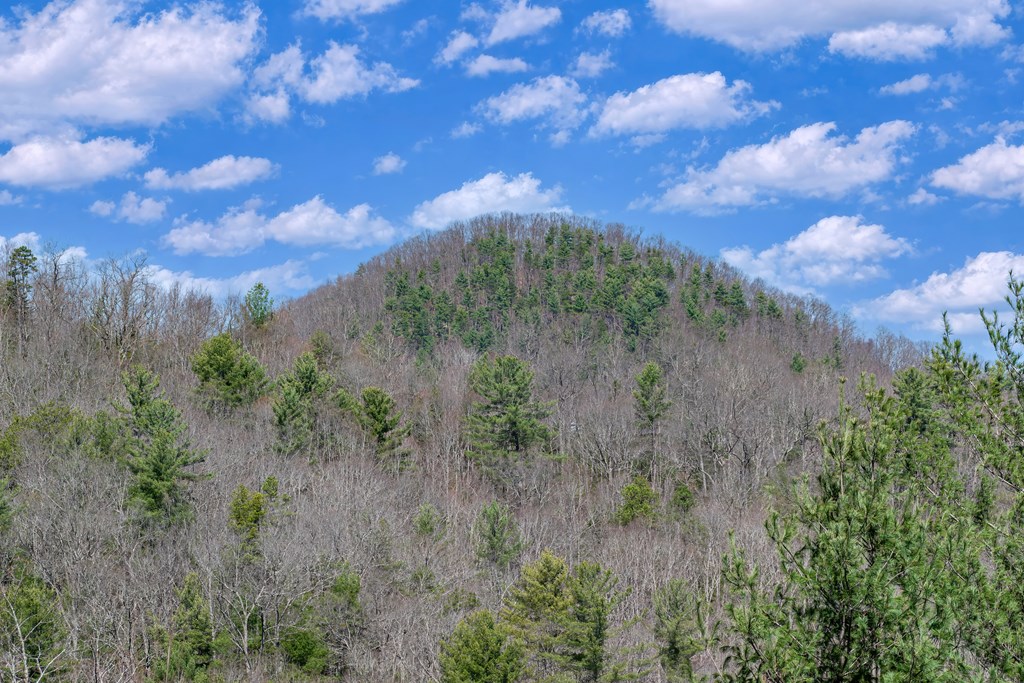 428742 Blairsville Residential