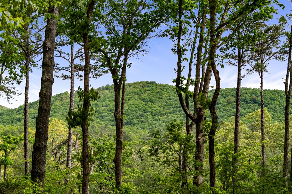 428755 Ellijay Residential