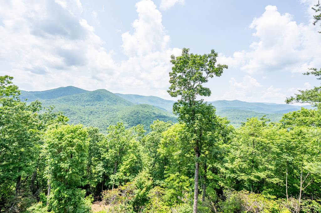 428756 Blue Ridge Residential