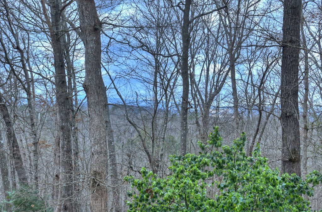 428760 Blue Ridge Residential