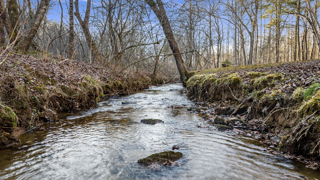 428762 Mineral Bluff Residential