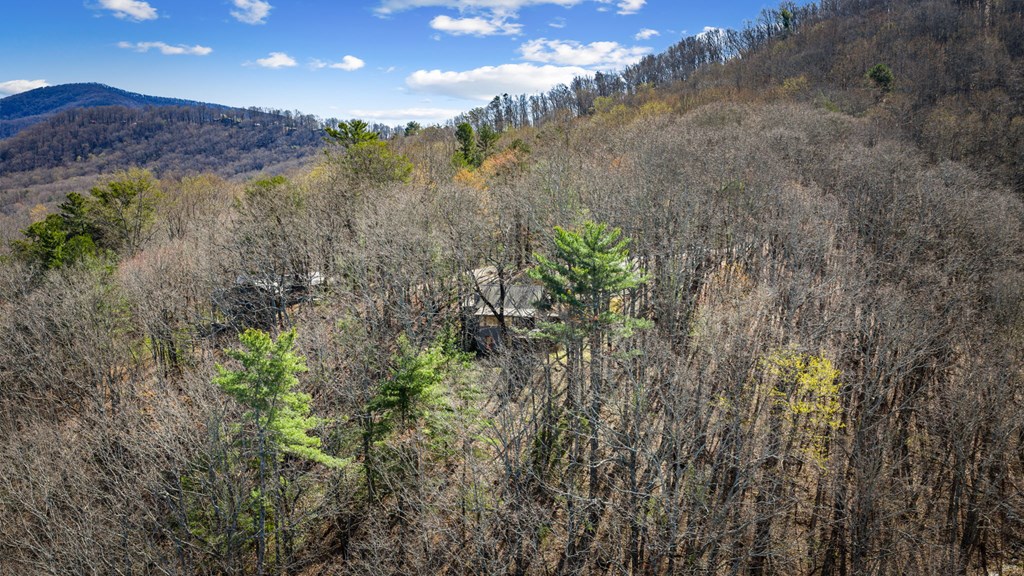 428778 Ellijay Residential