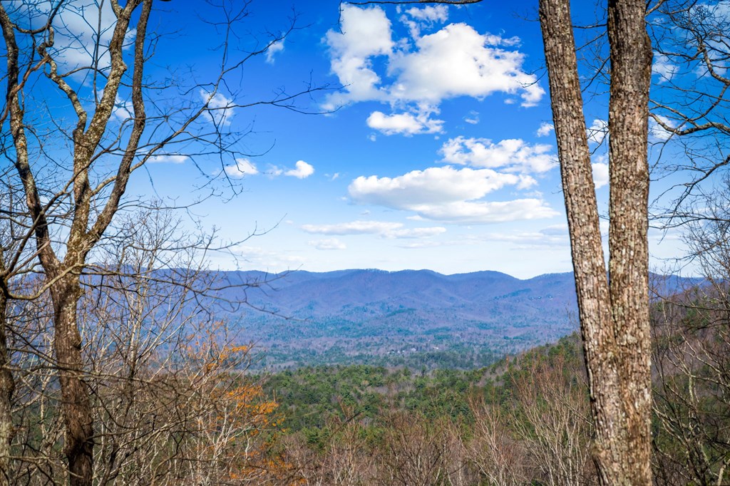 428778 Ellijay Residential