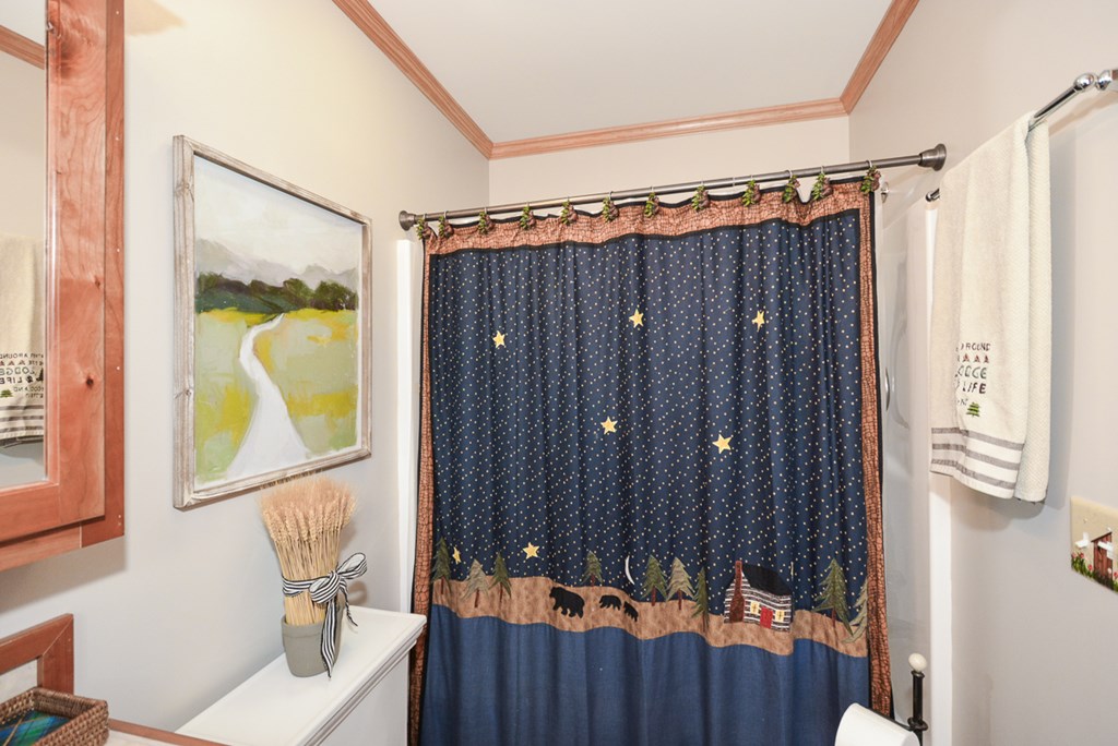 428781 Ellijay Residential