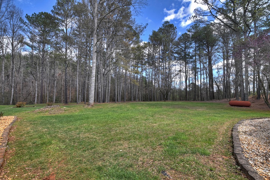 428784 Ellijay Residential