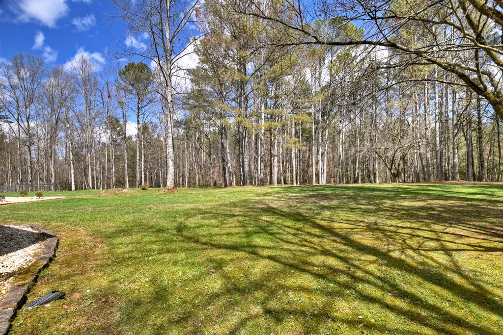 428784 Ellijay Residential