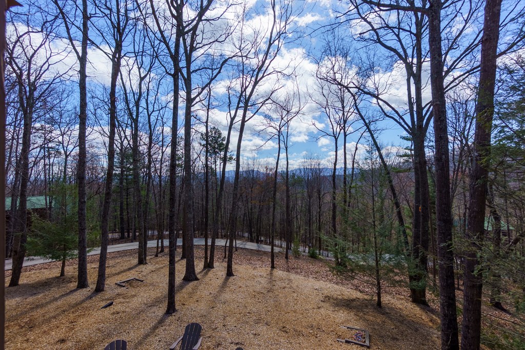 428793 Cherry Log Residential