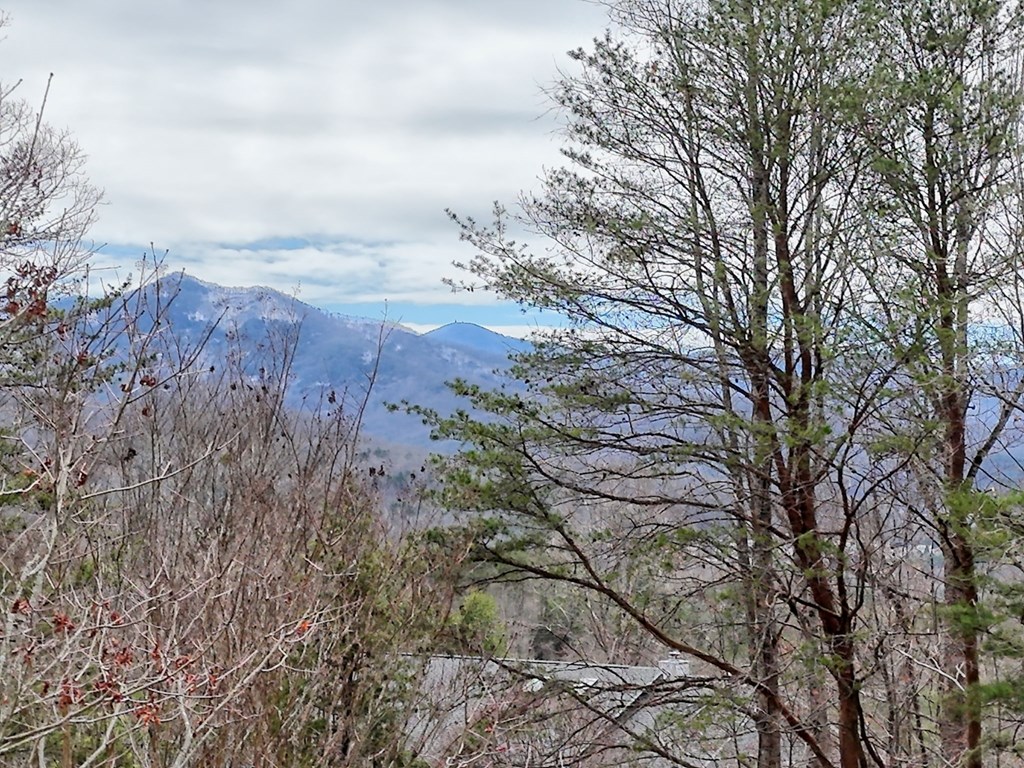 428798 Young Harris Residential