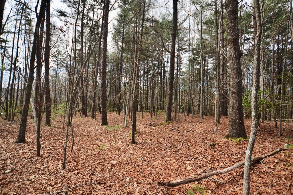 428801 Blairsville Residential