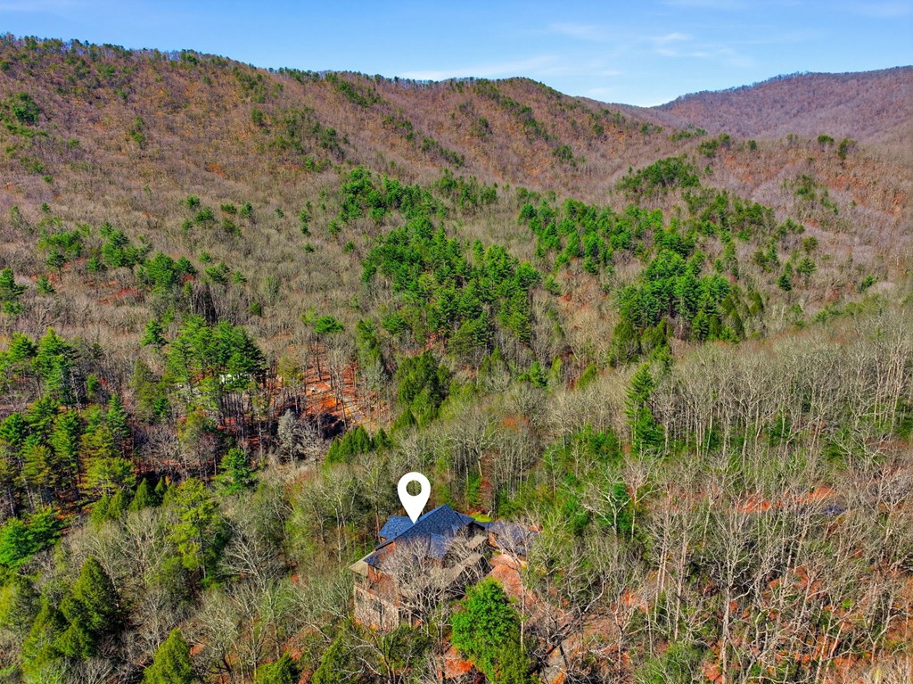 428812 Ellijay Residential