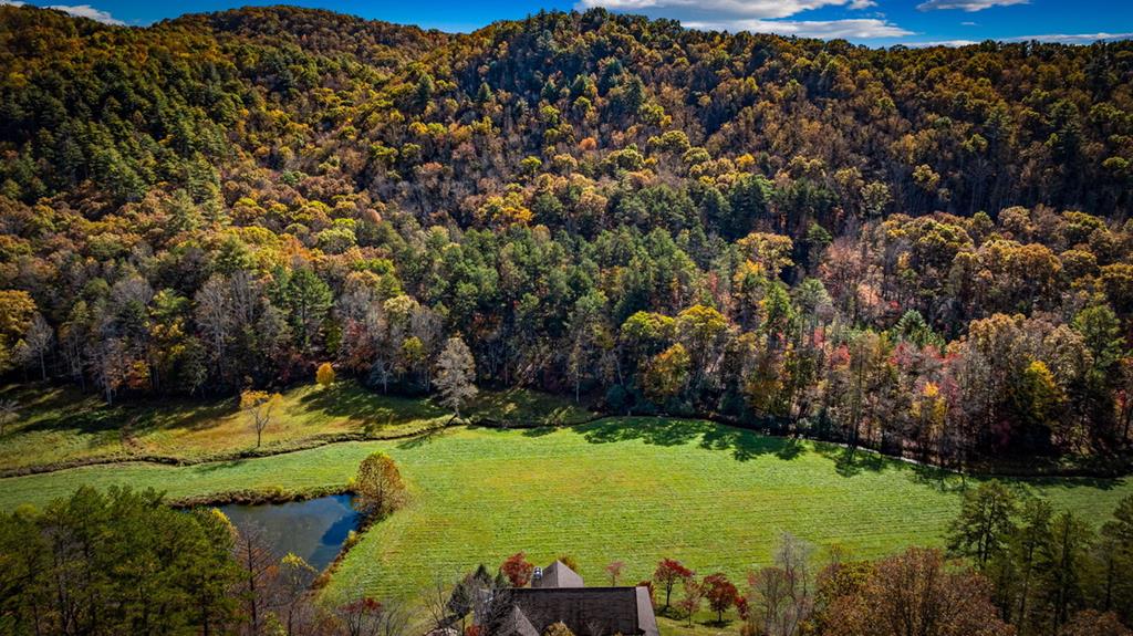 428815 Mineral Bluff Residential