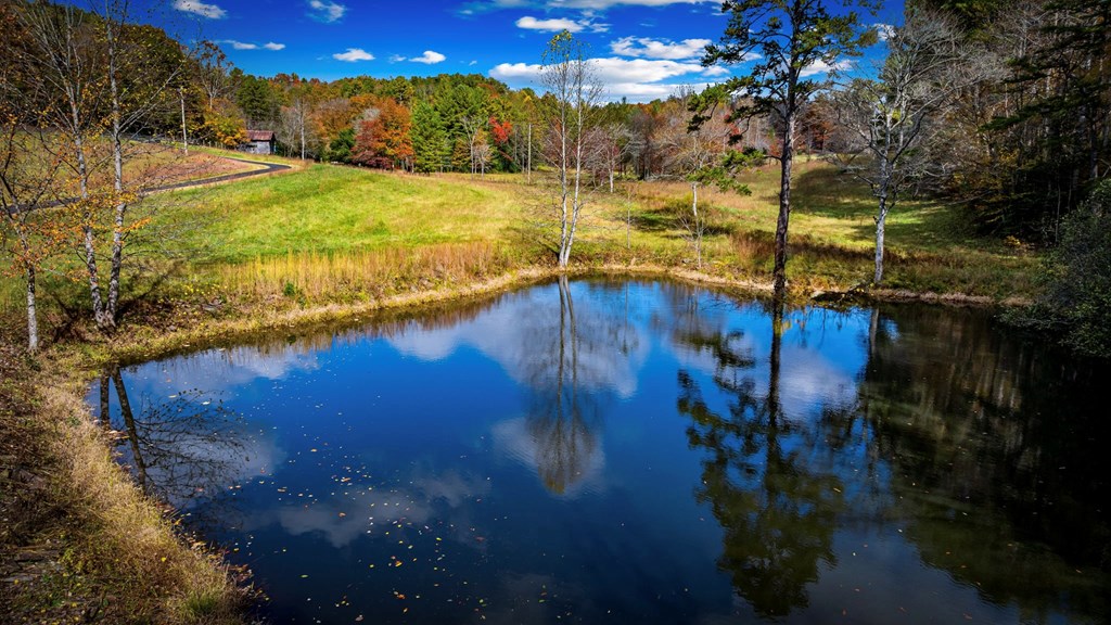 428815 Mineral Bluff Residential