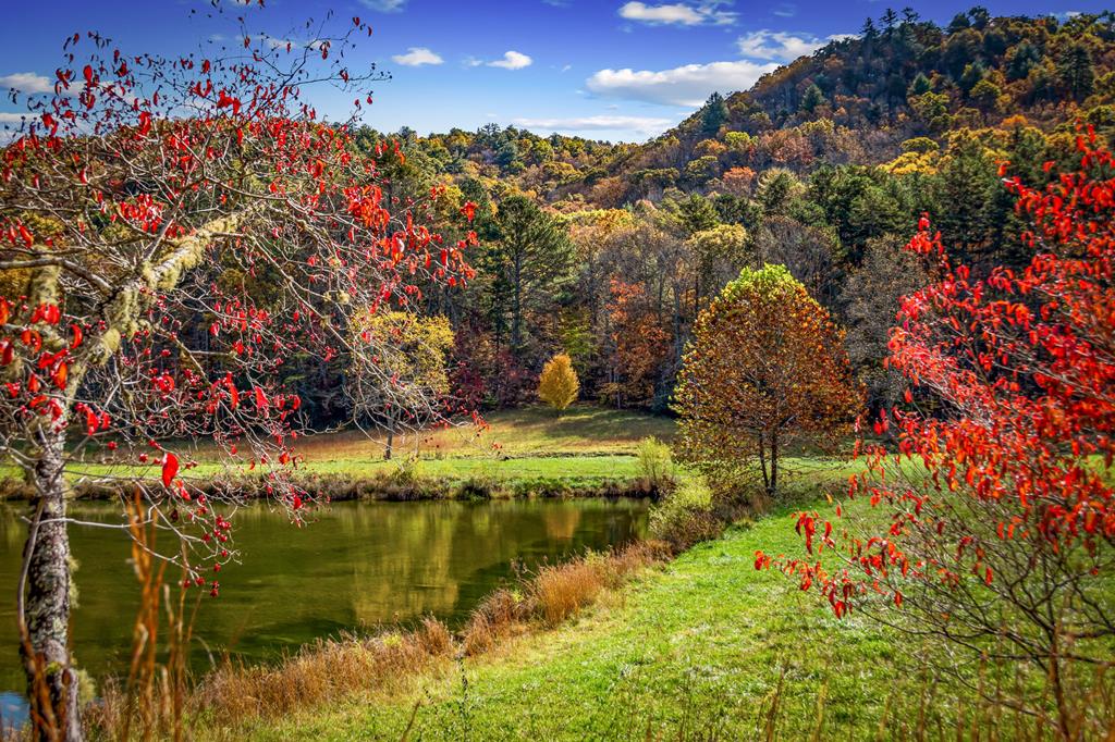 428815 Mineral Bluff Residential