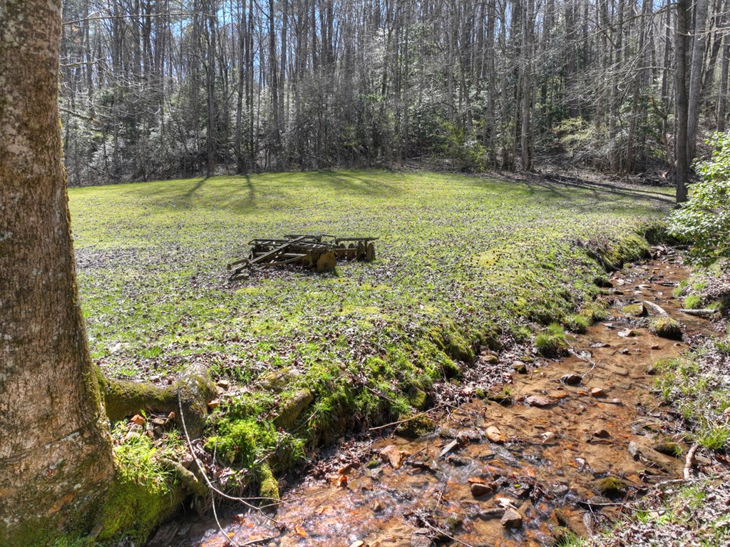 428816 Ellijay Residential