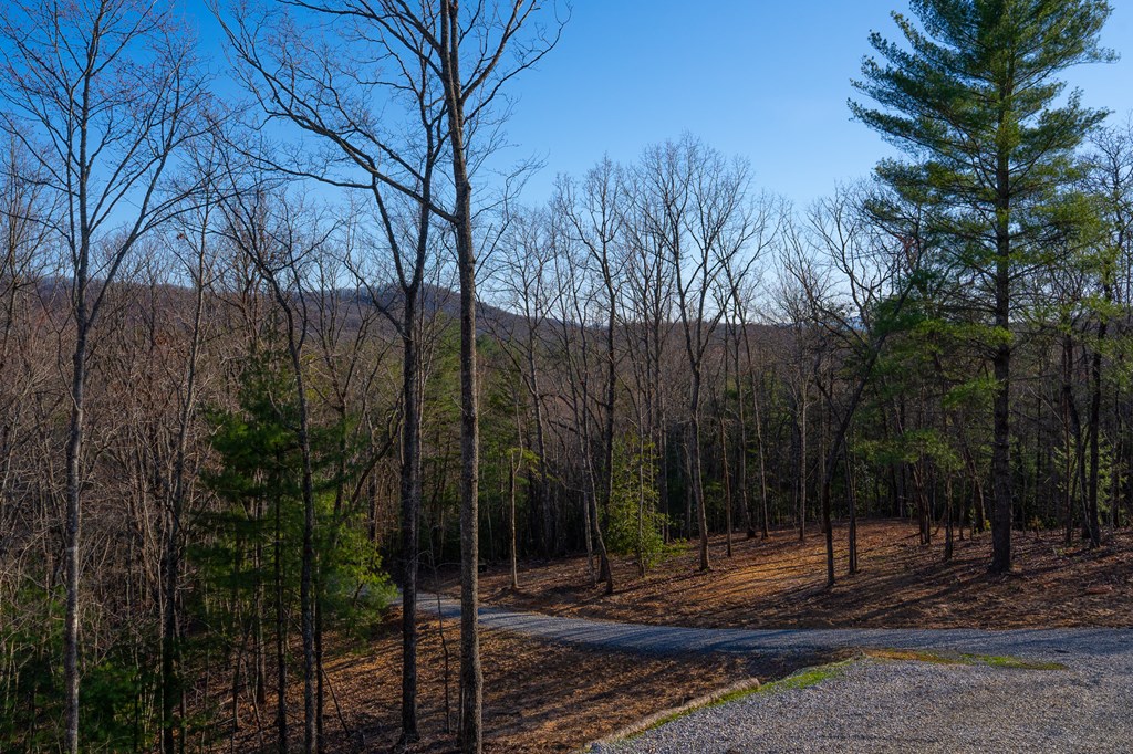 428817 Morganton Residential